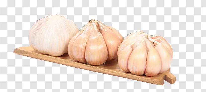 Shallot Garlic - Vegetable Transparent PNG
