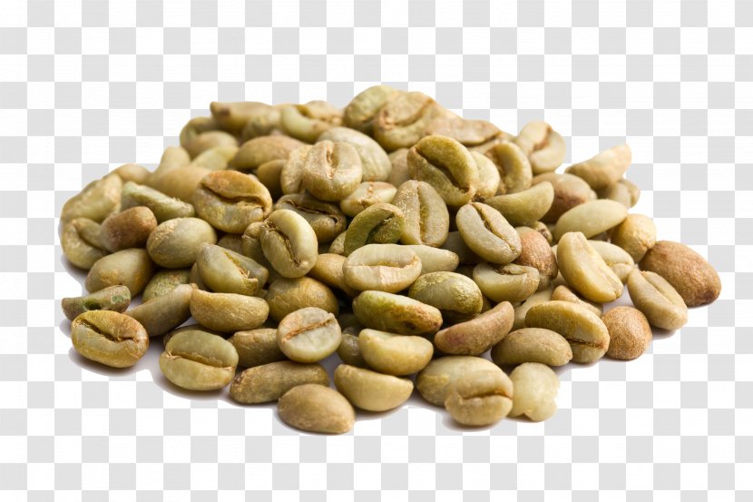 Coffee Bean Green Extract Decaffeination Roasting - Nuts Seeds - Beans Transparent PNG
