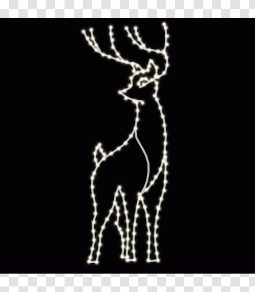 Giraffe Reindeer Antler Giraffids - Christmas Stag Transparent PNG