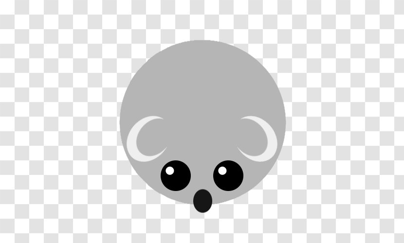 Clip Art Whiskers Snout - Bear - Koalas Transparent PNG