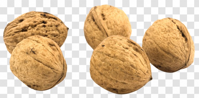 English Walnut Clip Art - Superfood Transparent PNG