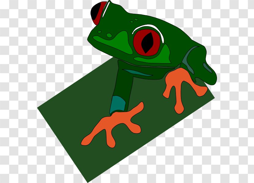 Red-eyed Tree Frog Clip Art - Vertebrate - Frogimages Transparent PNG