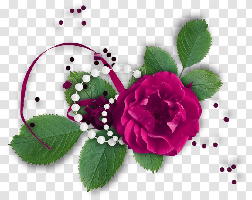 Drawing Of Family - Rose Order - Artificial Flower Garden Roses Transparent PNG