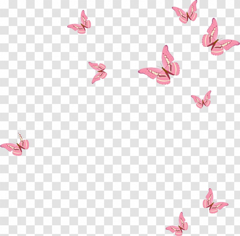 Butterfly Euclidean Vector Pink - Textile Transparent PNG