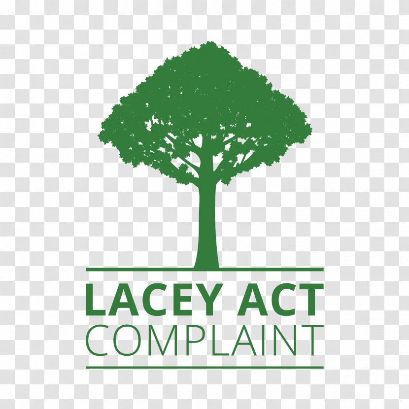 Lacey Act Of 1900 EU FLEGT Action Plan Reclaimed Lumber Wood Flooring Room - Furniture - Floor Transparent PNG