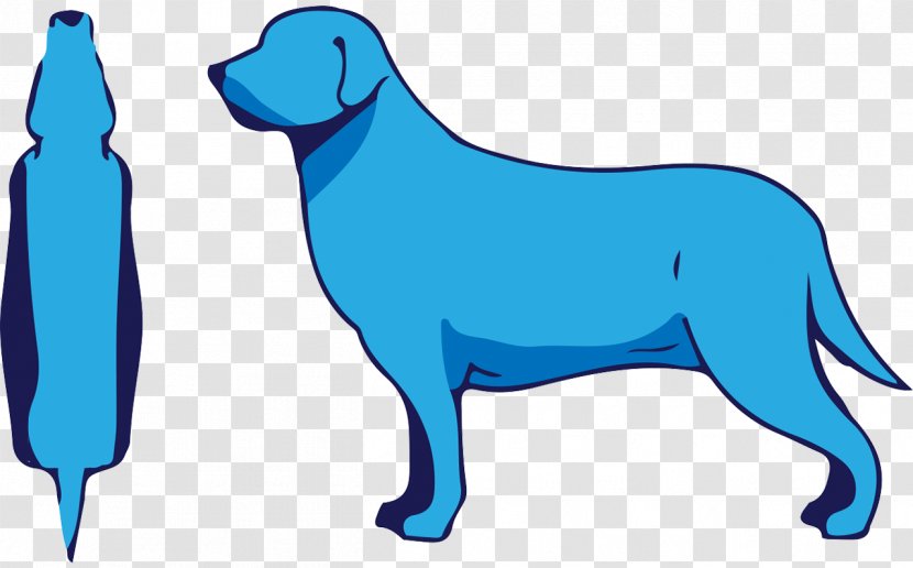 Dog Breed Puppy Veterinarian Clip Art - Veterinary Medicine Transparent PNG
