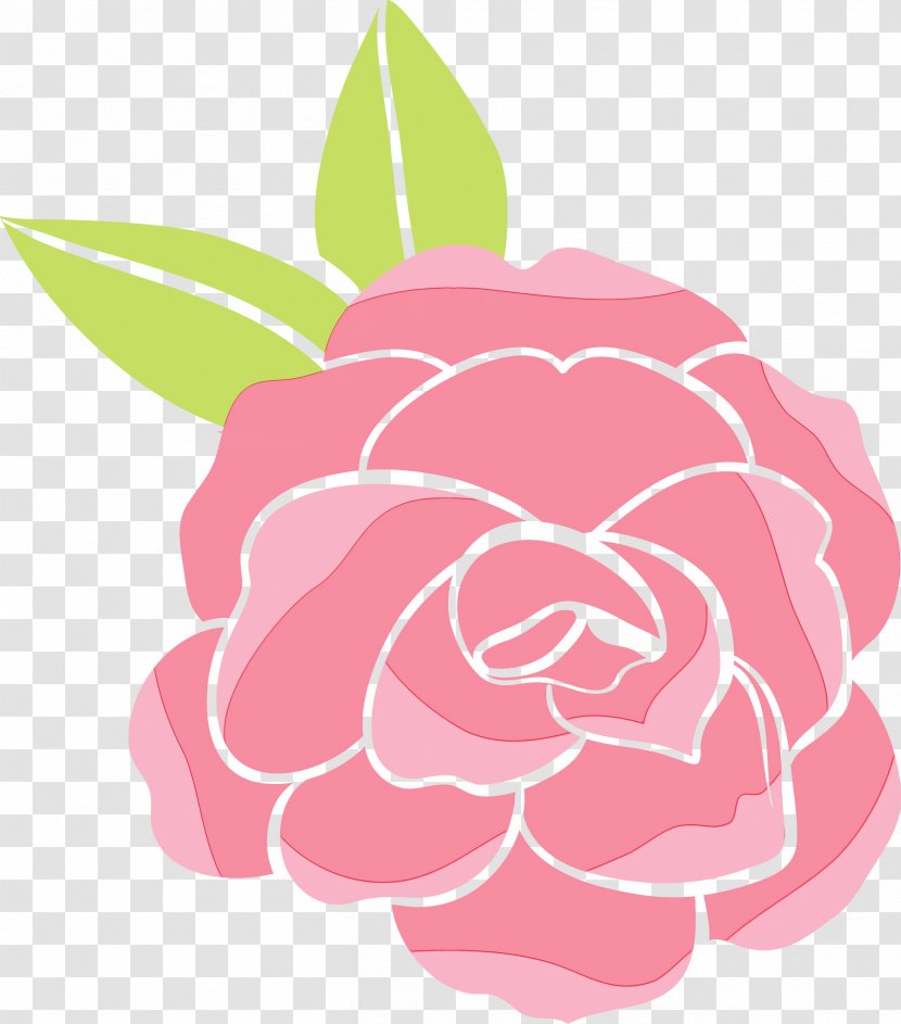 Garden Roses - Rose - Chinese Peony Theaceae Transparent PNG