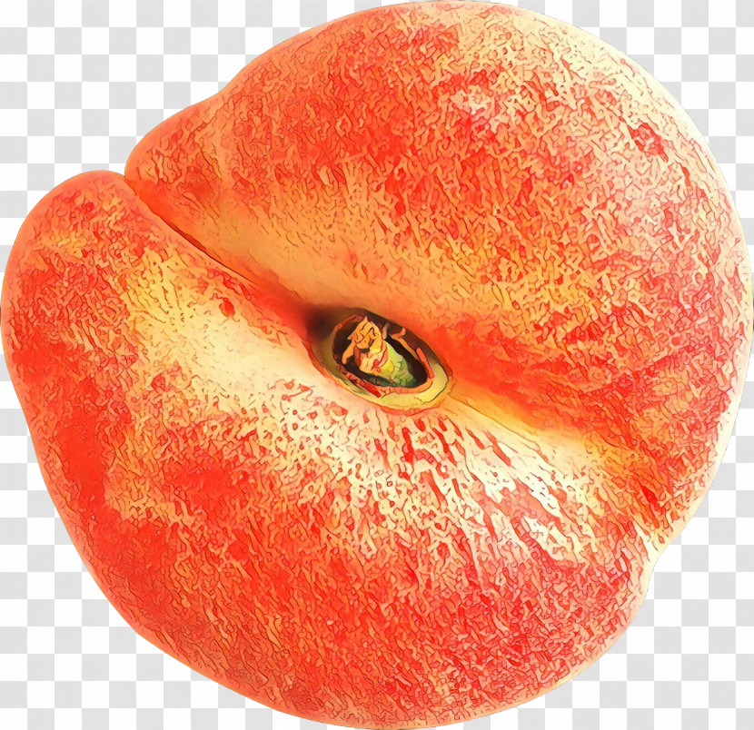 Orange Transparent PNG