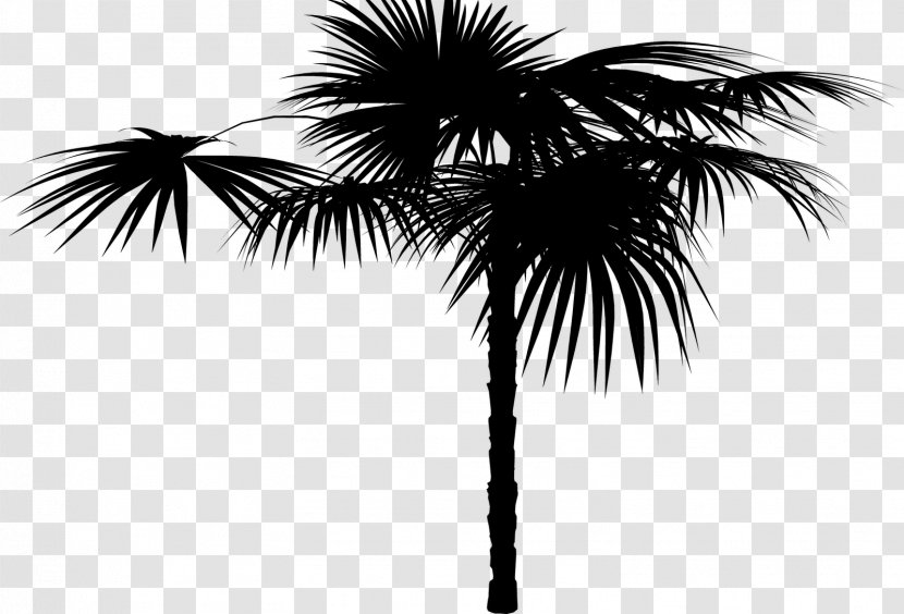 Asian Palmyra Palm Date Trees Silhouette Sky - Plant Transparent PNG