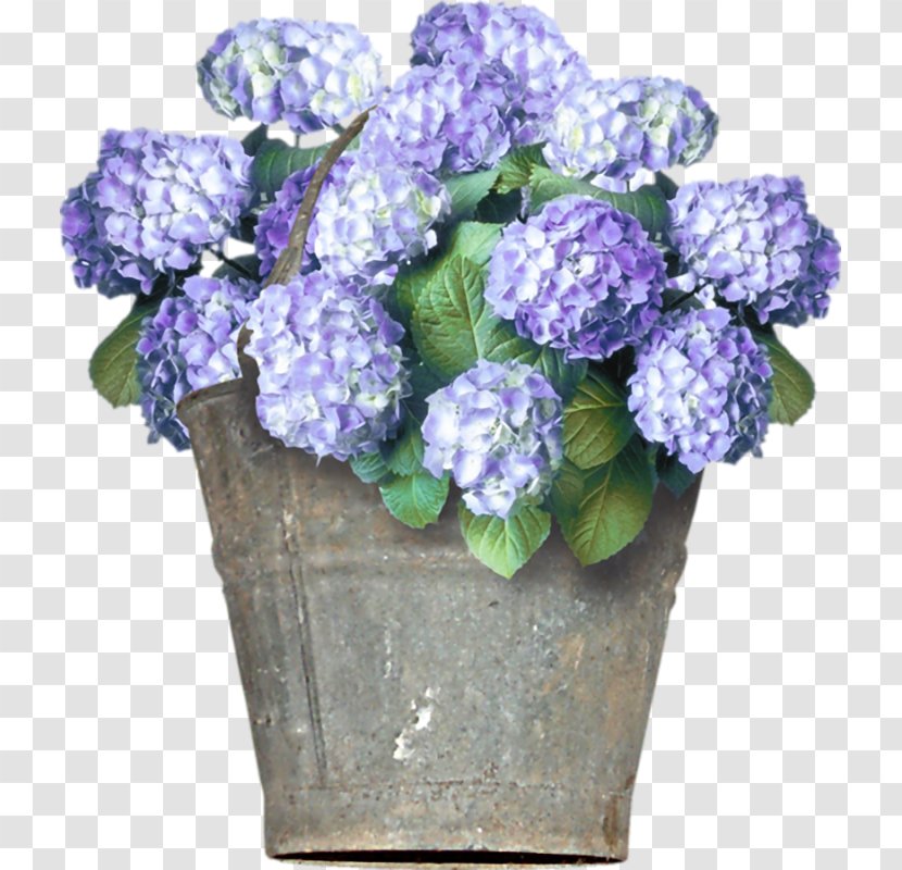 Hydrangea Floral Design Cut Flowers - Blue - Flower Transparent PNG
