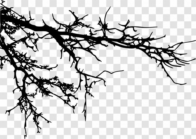 Branch Tree Silhouette Clip Art - Black And White Transparent PNG
