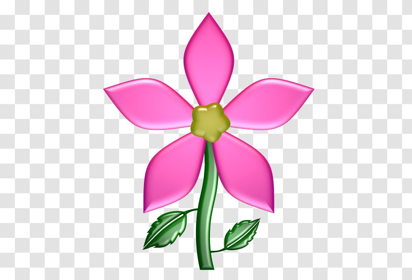 Petal Cut Flowers Plant Stem Clip Art - Flora - Flower Transparent PNG
