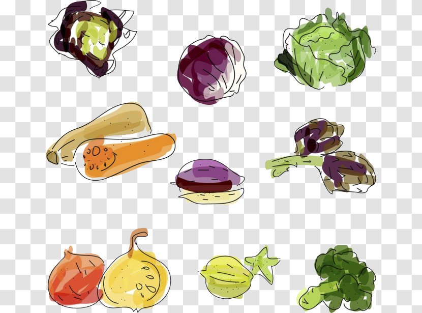 Vegetable Food Fruit - Vegetables Vector Material Transparent PNG