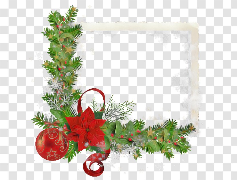 Christmas Decoration - Pine Family - Oregon Holly Transparent PNG