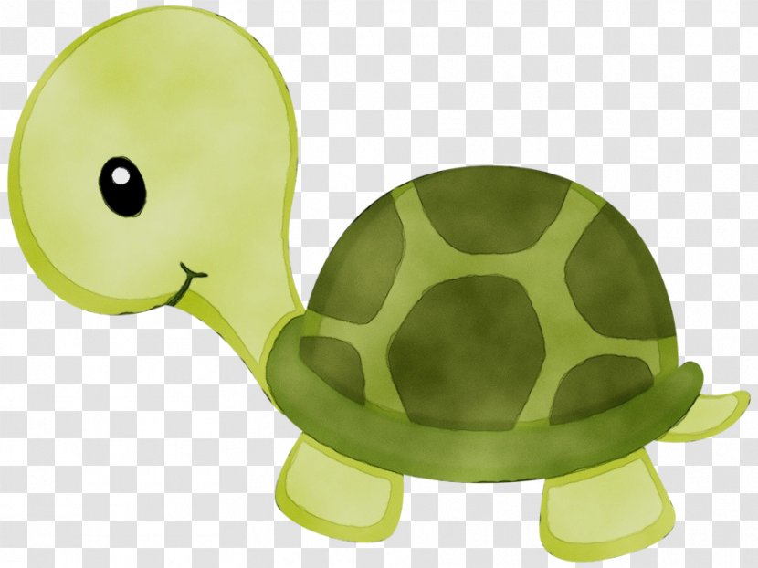 Turtle Clip Art Drawing Image Blanket - Video - Tortoise Transparent PNG