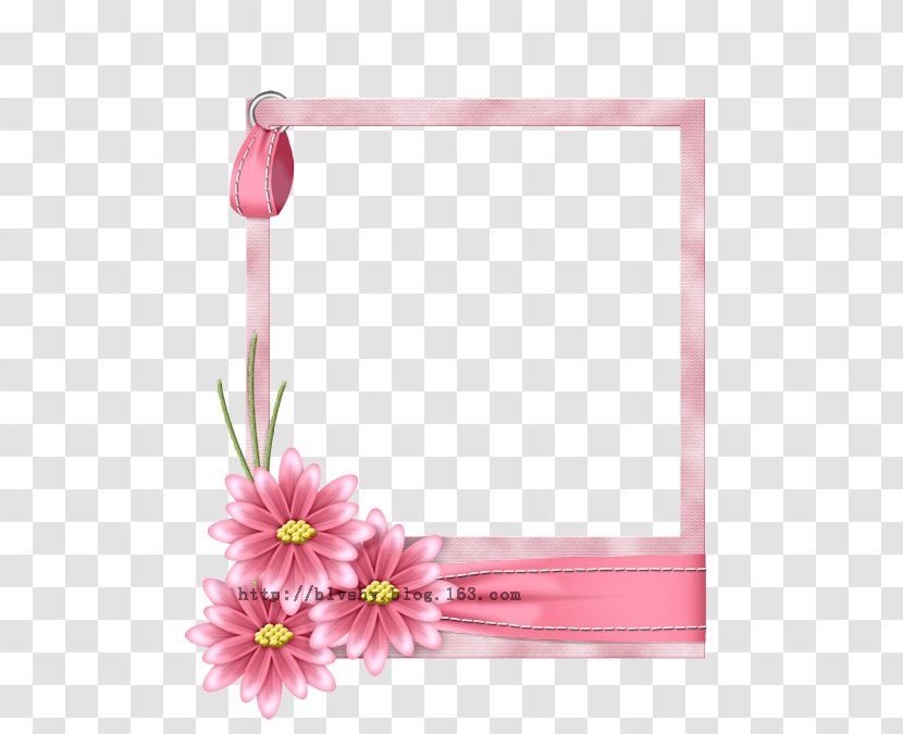 Borders And Frames Clip Art Picture Image - Floristry - Knot Border Transparent PNG