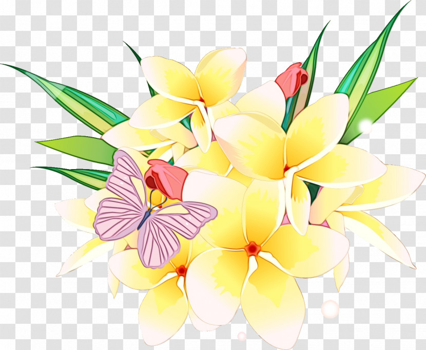 Frangipani Flower Petal Plant Anthurium Transparent PNG