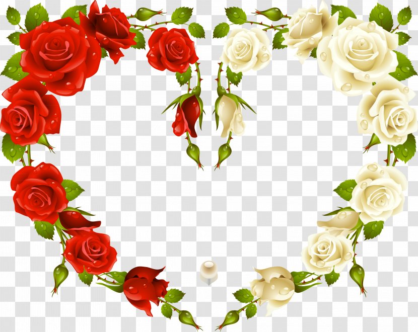 Rose Stock Photography Picture Frames Clip Art - Garden Roses - Lovely Text Transparent PNG