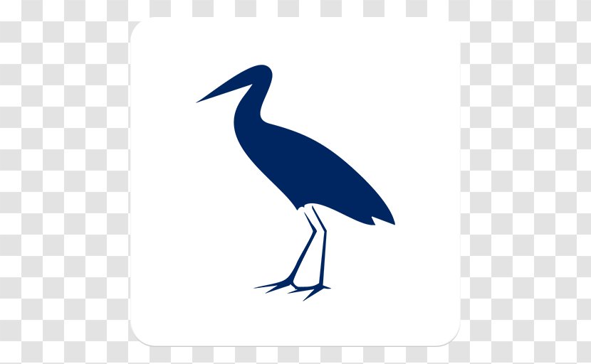 White Stork Water Bird Crane Beak Transparent PNG