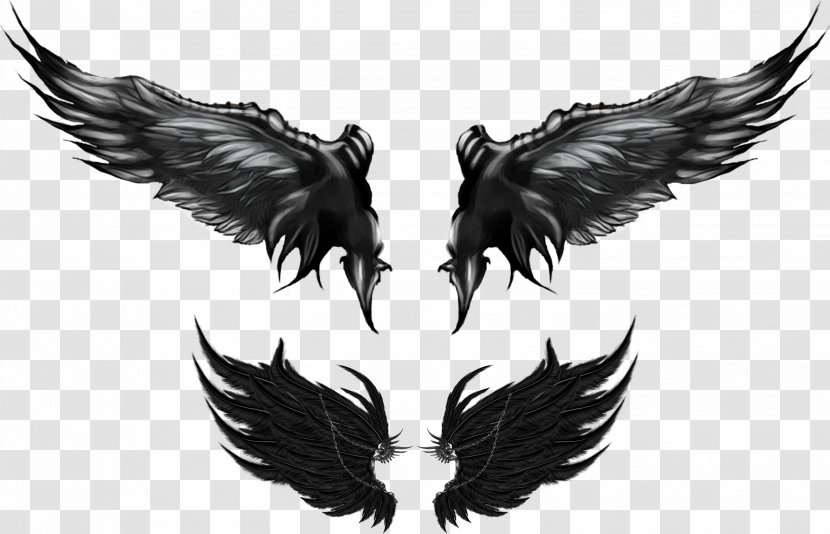 Drawing Clip Art - Wing - Monochrome Transparent PNG