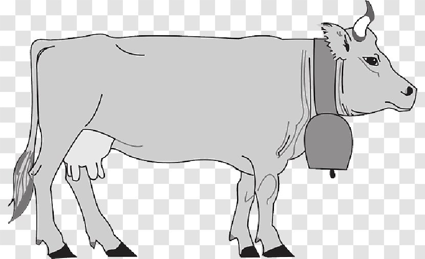 Hungarian Grey Murray Cattle Calf Clip Art Farm - Bull - Cow Transparent PNG