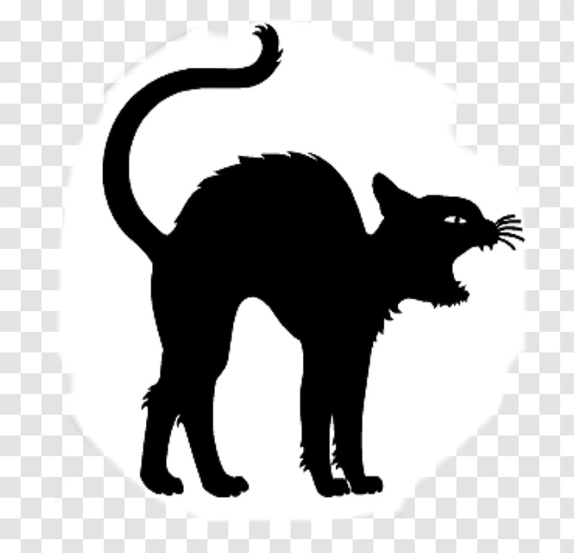 Black Cat Jack-o'-lantern Halloween Clip Art - Wildlife Transparent PNG