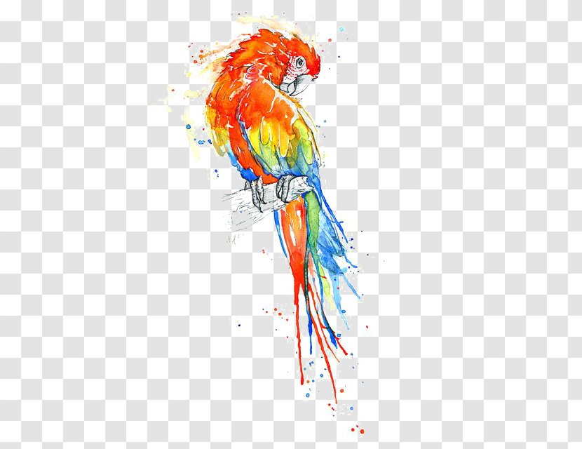 Bird True Parrot Watercolor Painting Macaw - Heart - Water Transparent PNG
