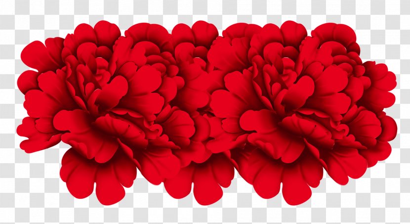 Red Rose - Petal - Flower Transparent PNG