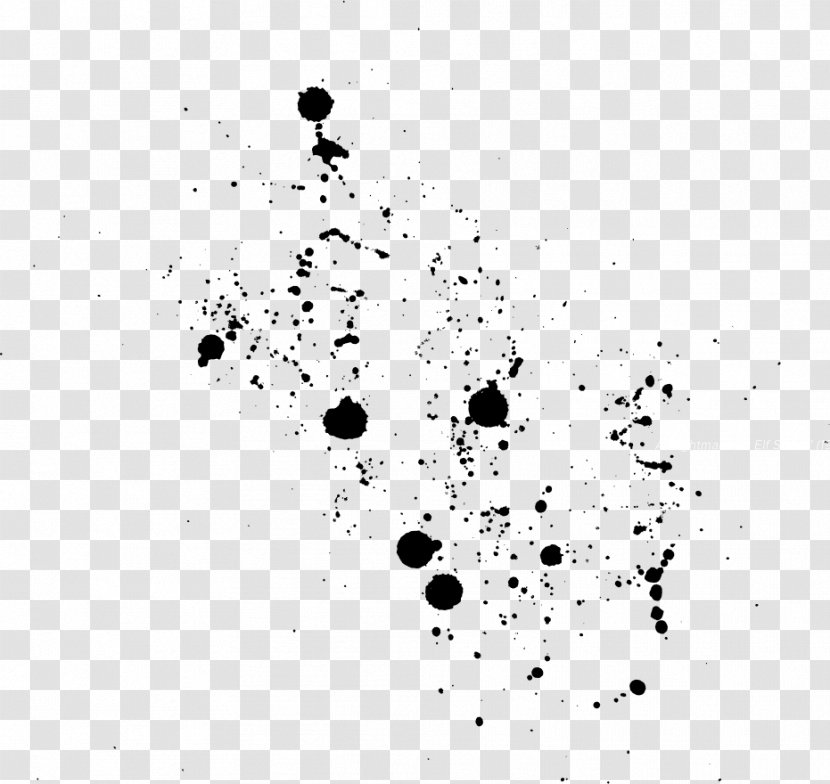 Black And White Monochrome Color - Mataharimallcom - Splash Transparent PNG
