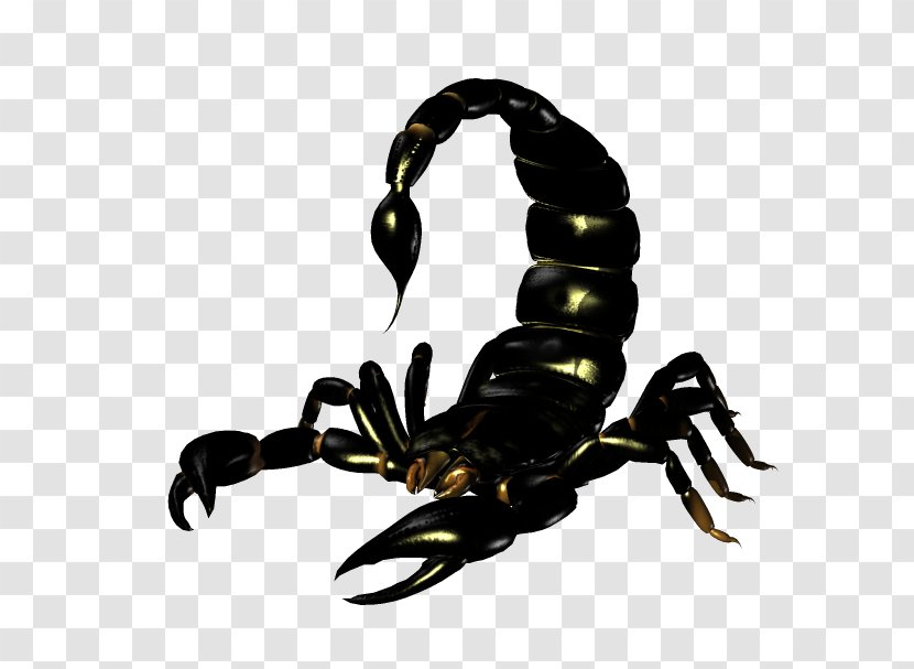Emperor Scorpion Clip Art Transparent PNG