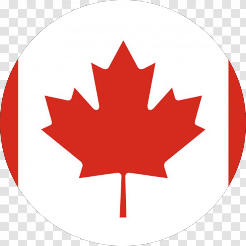 Flag Of Canada Costa Rica United States - Maple Leaf Transparent PNG