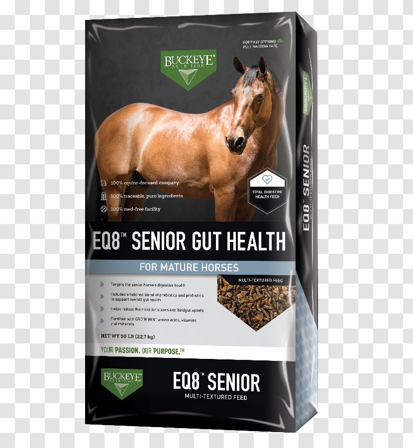 Horse Dietary Supplement Equine Nutrition Mare - Heart - Leisure And Health Transparent PNG