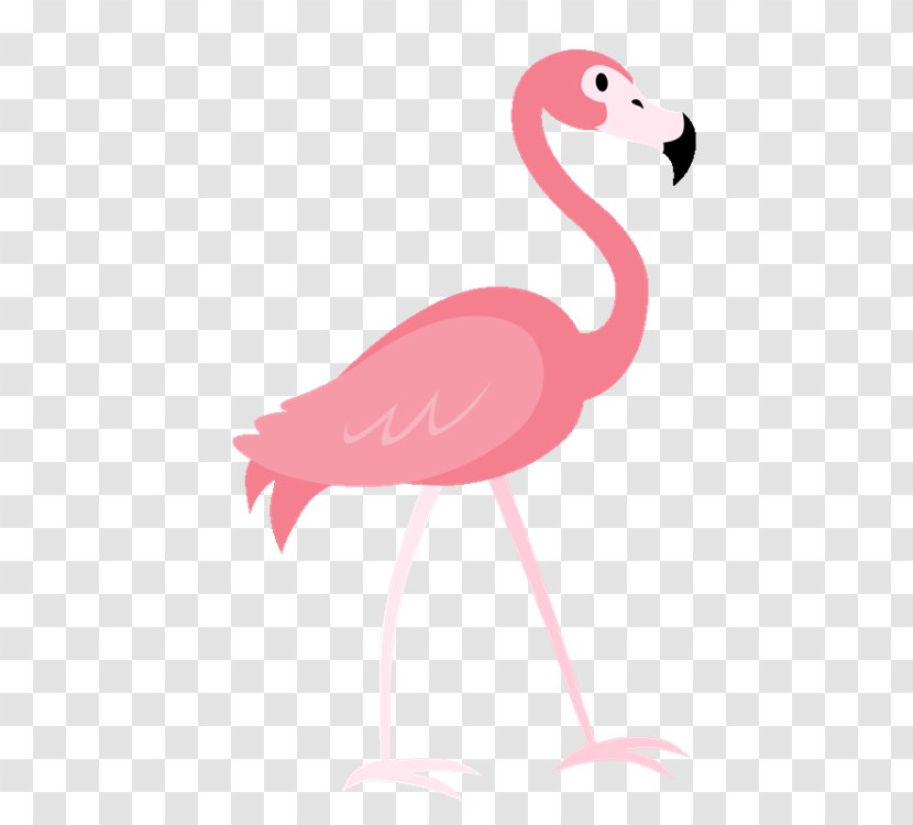 Flamingo Image Stock Photography Illustration Transparent PNG