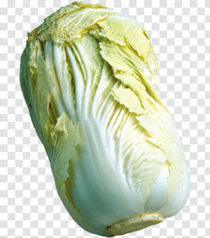 Napa Cabbage Vegetable Romaine Lettuce Cauliflower Transparent PNG