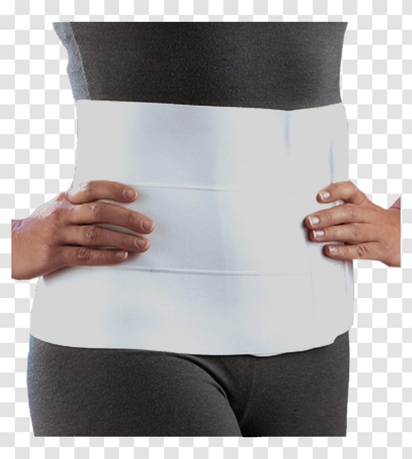 Abdomen Waist Lumbar Rib Cage Belt - Frame - Abdominal Transparent PNG