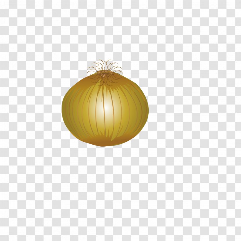 Yellow Onion Vegetable - Plot - Onions Transparent PNG