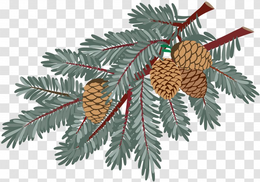 Spruce New Year Christmas Clip Art - Evergreen - Pine Cone Material Transparent PNG