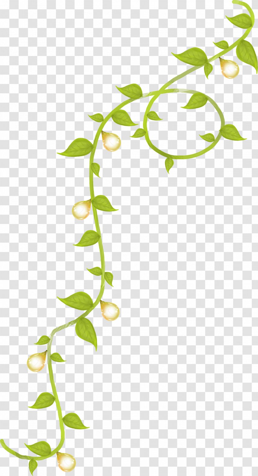 Flower Plant Stem Leaf - Branches Transparent PNG
