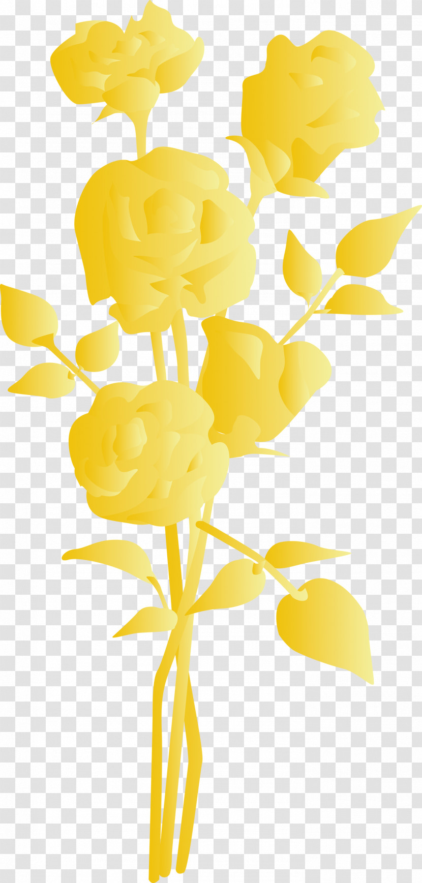 Yellow Cut Flowers Flower Plant Pedicel Transparent PNG