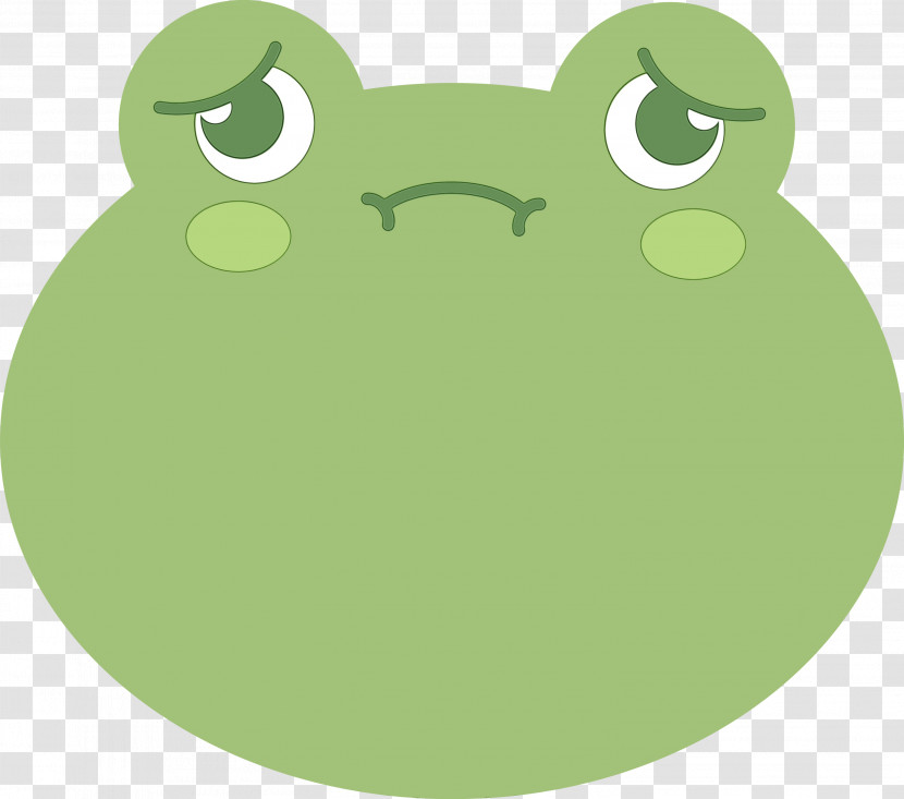 Tree Frog Frogs Green Meter Transparent PNG