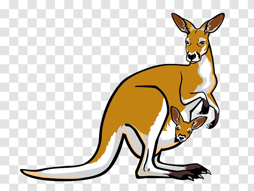 Red Kangaroo Pouch Illustration - Wildlife - Cartoon Mother Transparent PNG