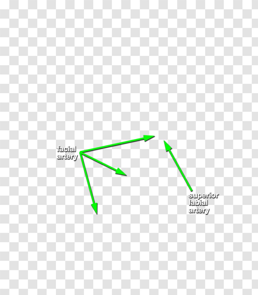 Brand Line Angle - Diagram Transparent PNG