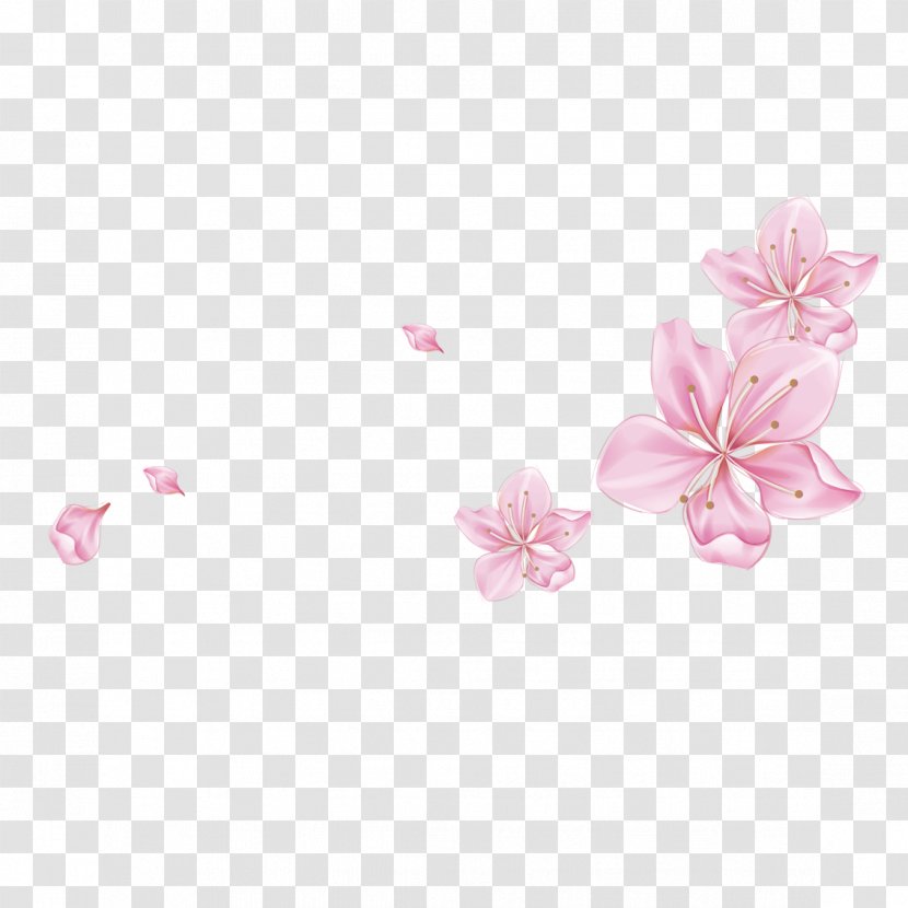 Petal - Floating Peach Transparent PNG