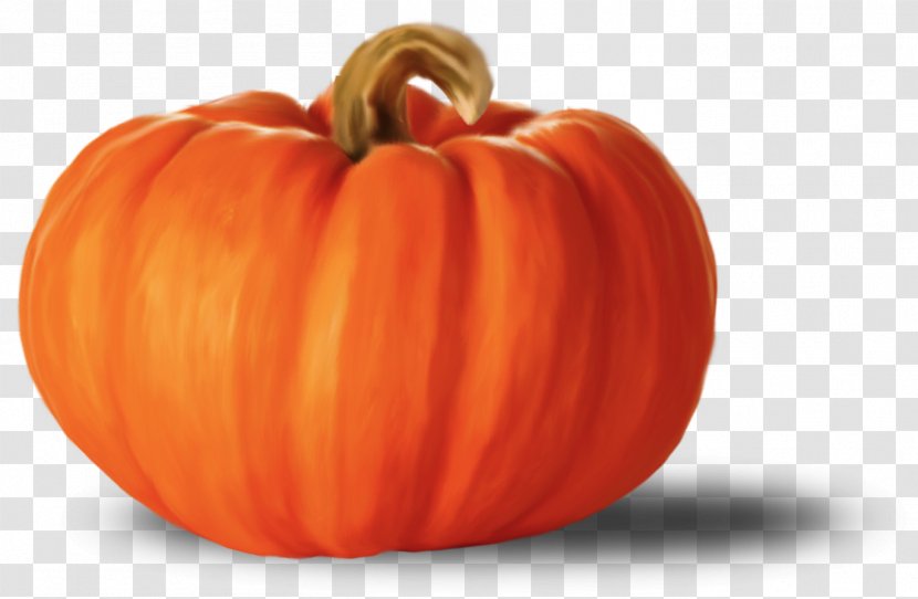 Pumpkin - Squash - Vegetable Transparent PNG