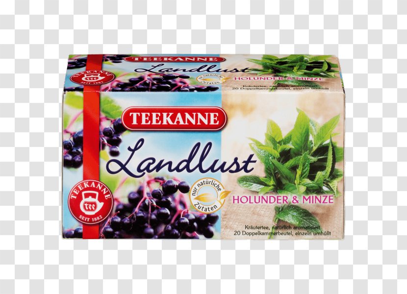 Herbal Tea Peppermint Bag Teapot - Drink Transparent PNG