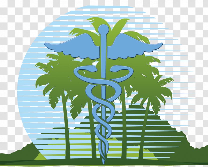 Health Care Medicine Clinic Hibiscus Tea Hospital - Medical Recruitment Cliparts Transparent PNG