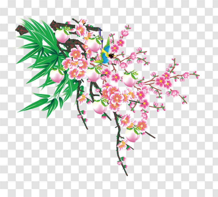 Plum Blossom Peach Google Images - Floristry - Tree Transparent PNG