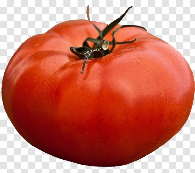 Beefsteak Tomato Seed Vegetable Heirloom Plant - Food Spoilage Transparent PNG