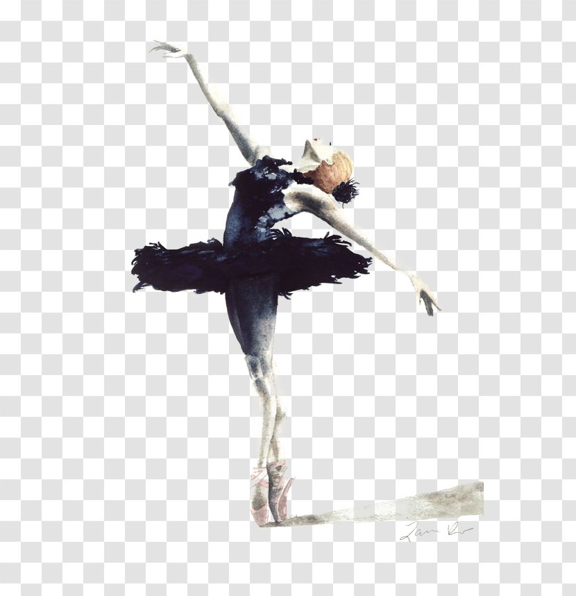 Ballet Dancer Swan Lake Cygnini Drawing - Frame Transparent PNG