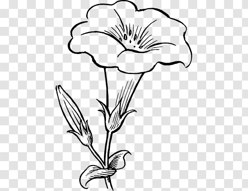 Flower Black And White Drawing Clip Art - Monochrome - Of Flowers Transparent PNG